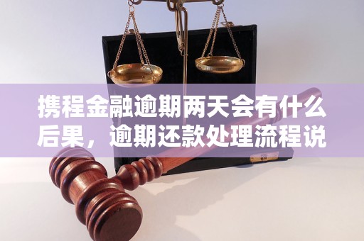 携程金融逾期两天会有什么后果，逾期还款处理流程说明