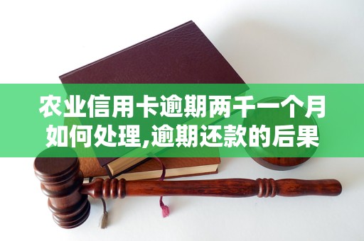 农业信用卡逾期两千一个月如何处理,逾期还款的后果