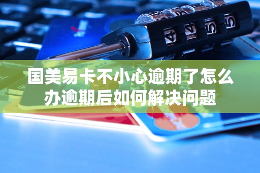 国美易卡不小心逾期了怎么办逾期后如何解决问题