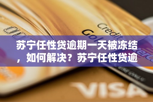 苏宁任性贷逾期一天被冻结，如何解决？苏宁任性贷逾期一天冻结了怎么办？