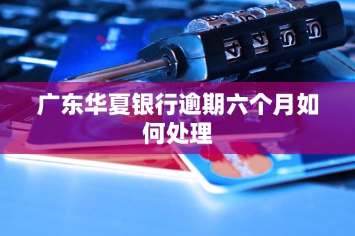 广东华夏银行逾期六个月如何处理