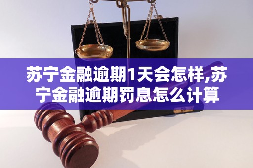 苏宁金融逾期1天会怎样,苏宁金融逾期罚息怎么计算
