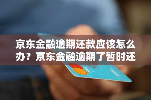 京东金融逾期还款应该怎么办？京东金融逾期了暂时还不了怎么处理？