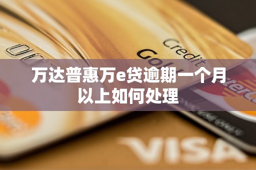 万达普惠万e贷逾期一个月以上如何处理
