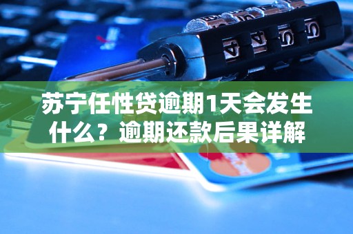 苏宁任性贷逾期1天会发生什么？逾期还款后果详解
