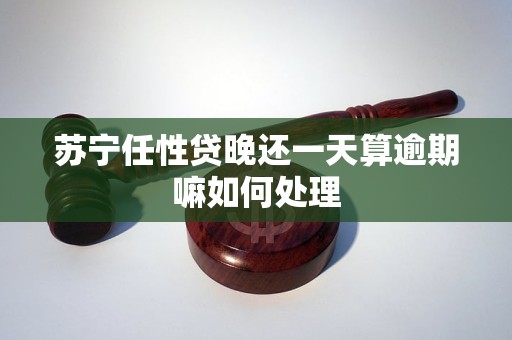 苏宁任性贷晚还一天算逾期嘛如何处理