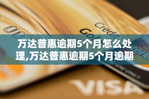 万达普惠逾期5个月怎么处理,万达普惠逾期5个月逾期费用收取情况