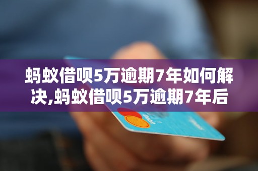 蚂蚁借呗5万逾期7年如何解决,蚂蚁借呗5万逾期7年后果及应对方法