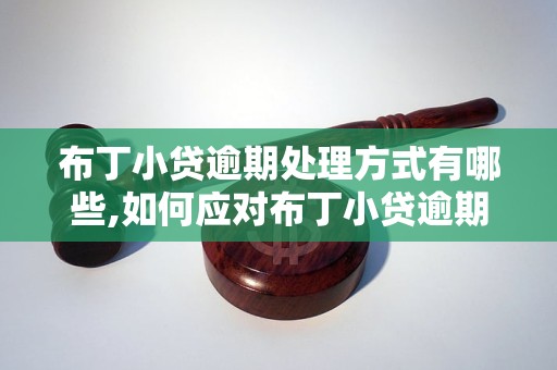 布丁小贷逾期处理方式有哪些,如何应对布丁小贷逾期违约