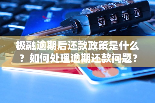 极融逾期后还款政策是什么？如何处理逾期还款问题？