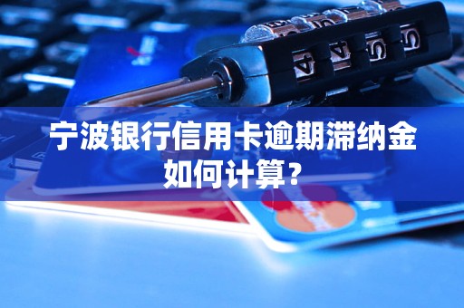 宁波银行信用卡逾期滞纳金如何计算？