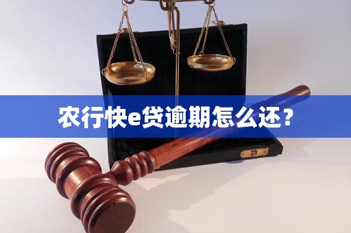 农行快e贷逾期怎么还？