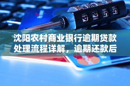 沈阳农村商业银行逾期贷款处理流程详解，逾期还款后果及解决办法