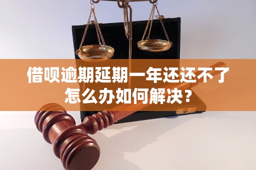 借呗逾期延期一年还还不了怎么办如何解决？