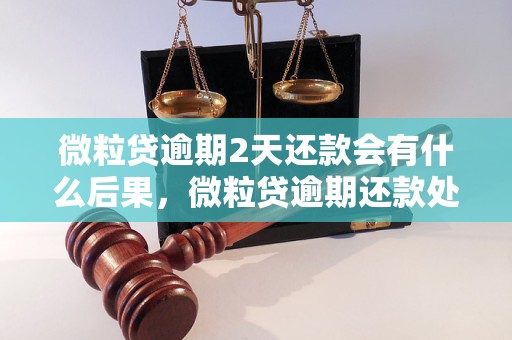 微粒贷逾期2天还款会有什么后果，微粒贷逾期还款处理方法分享