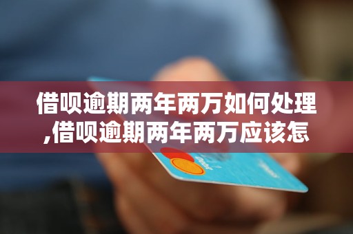 借呗逾期两年两万如何处理,借呗逾期两年两万应该怎么解决
