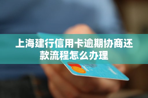 上海建行信用卡逾期协商还款流程怎么办理