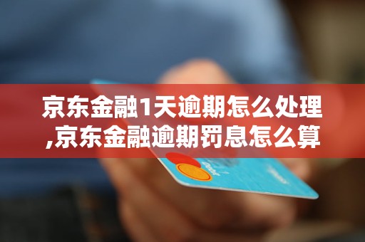 京东金融1天逾期怎么处理,京东金融逾期罚息怎么算