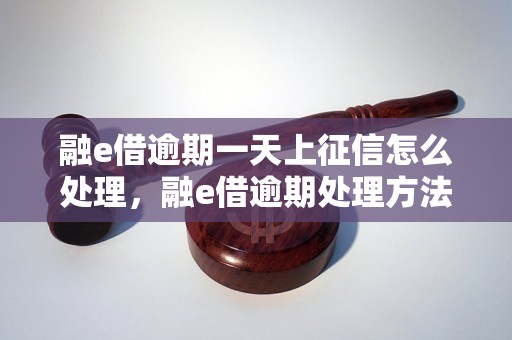 融e借逾期一天上征信怎么处理，融e借逾期处理方法详解