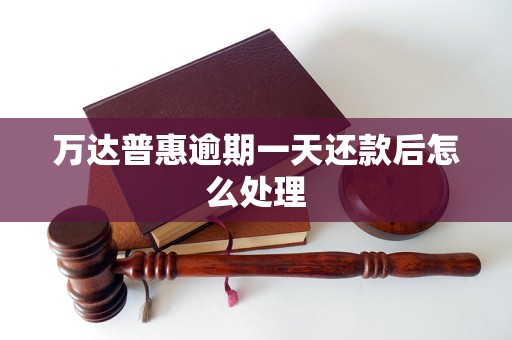 万达普惠逾期一天还款后怎么处理