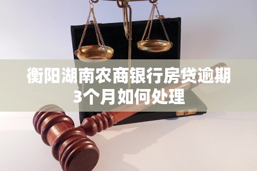 衡阳湖南农商银行房贷逾期3个月如何处理