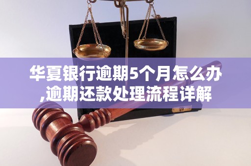 华夏银行逾期5个月怎么办,逾期还款处理流程详解