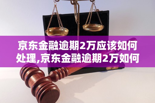 京东金融逾期2万应该如何处理,京东金融逾期2万如何解决问题