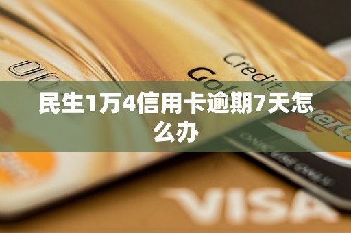 民生1万4信用卡逾期7天怎么办