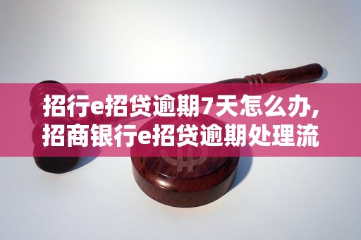 招行e招贷逾期7天怎么办,招商银行e招贷逾期处理流程解析