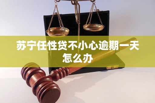 苏宁任性贷不小心逾期一天怎么办