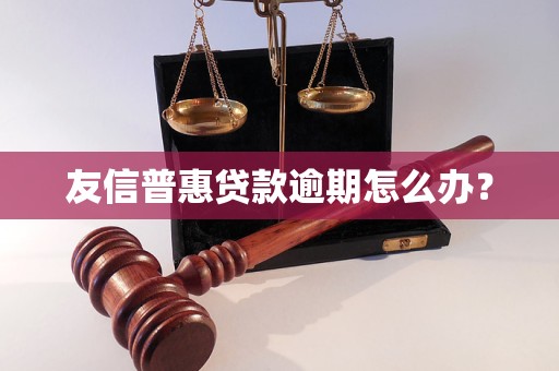 友信普惠贷款逾期怎么办？