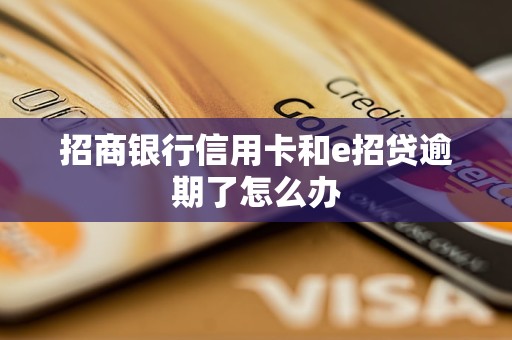 招商银行信用卡和e招贷逾期了怎么办