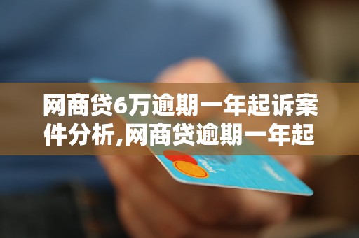 网商贷6万逾期一年起诉案件分析,网商贷逾期一年起诉的法律程序