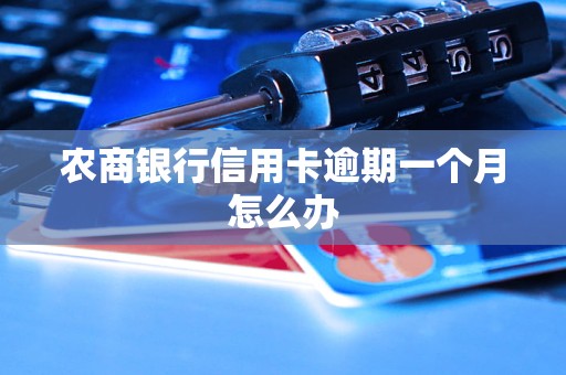 农商银行信用卡逾期一个月怎么办