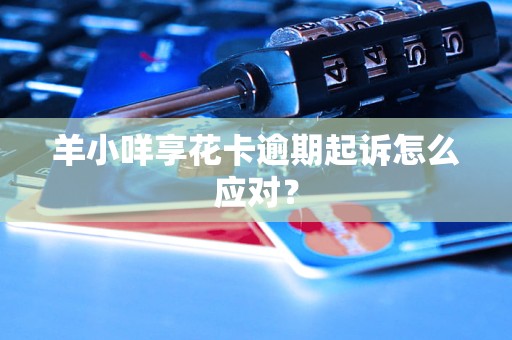 羊小咩享花卡逾期起诉怎么应对？