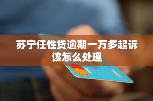 苏宁任性贷逾期一万多起诉该怎么处理