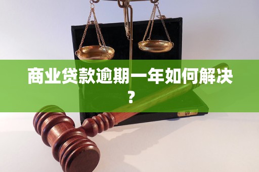 商业贷款逾期一年如何解决？