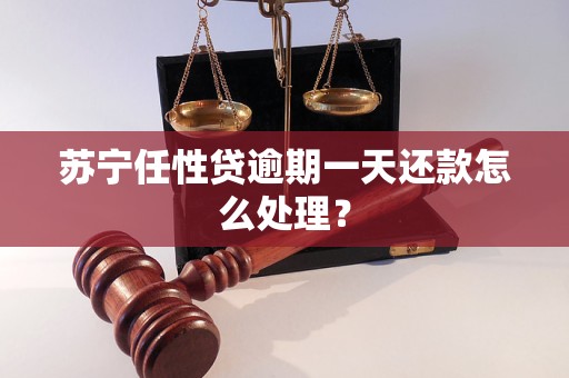 苏宁任性贷逾期一天还款怎么处理？