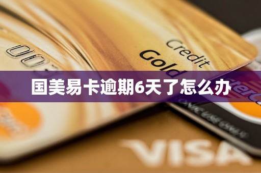 国美易卡逾期6天了怎么办