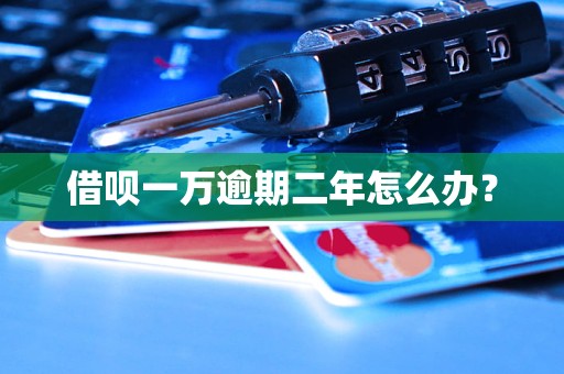 借呗一万逾期二年怎么办？
