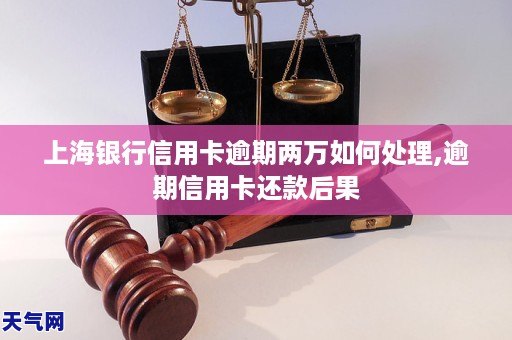 上海銀行信用卡逾期兩萬如何處理逾期信用卡還款後果