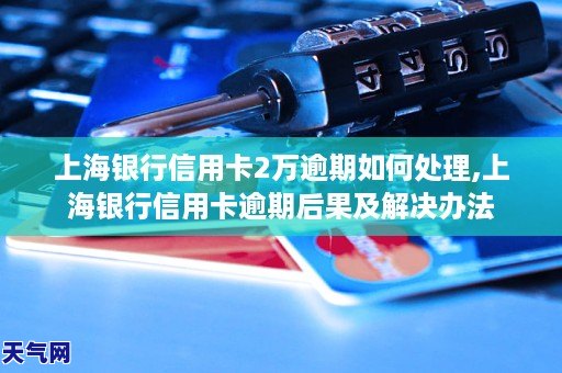 上海銀行信用卡2萬逾期如何處理上海銀行信用卡逾期後果及解決辦法