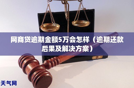 網商貸是一家中國領先的互聯網金融服務提供商,致力