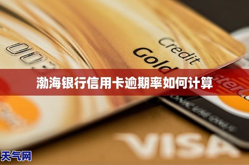 渤海銀行信用卡逾期率如何計算