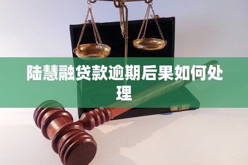 陆慧融贷款逾期后果如何处理