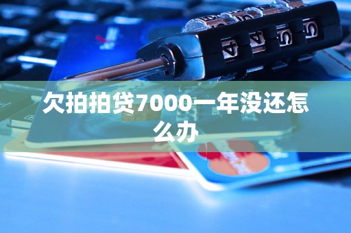 欠拍拍贷7000一年没还怎么办