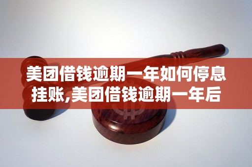 美团借钱逾期一年如何停息挂账,美团借钱逾期一年后如何处理