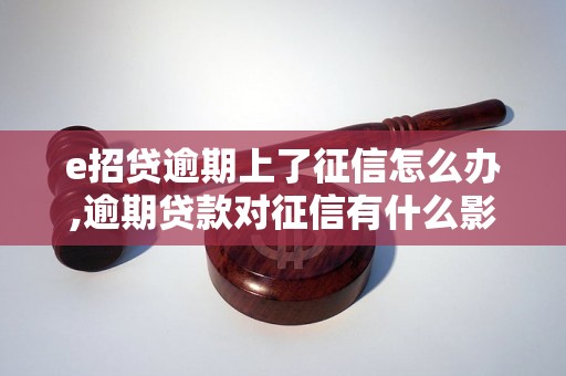 e招贷逾期上了征信怎么办,逾期贷款对征信有什么影响