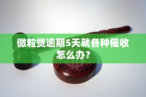 微粒贷逾期5天就各种催收怎么办？