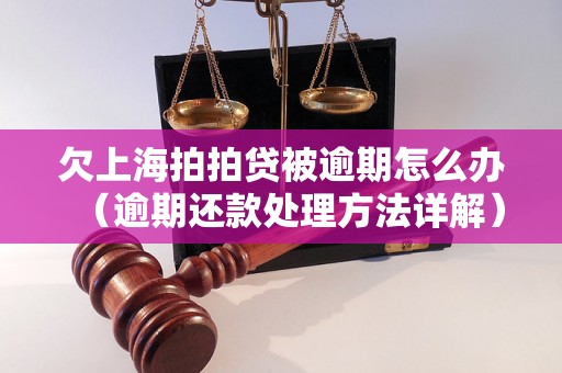 欠上海拍拍贷被逾期怎么办（逾期还款处理方法详解）